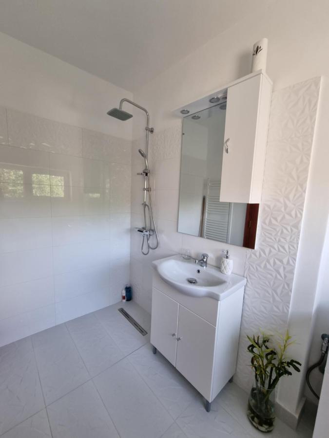 Apartament Toma Boutique Braszów Zewnętrze zdjęcie