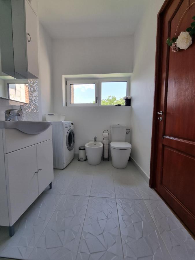 Apartament Toma Boutique Braszów Zewnętrze zdjęcie