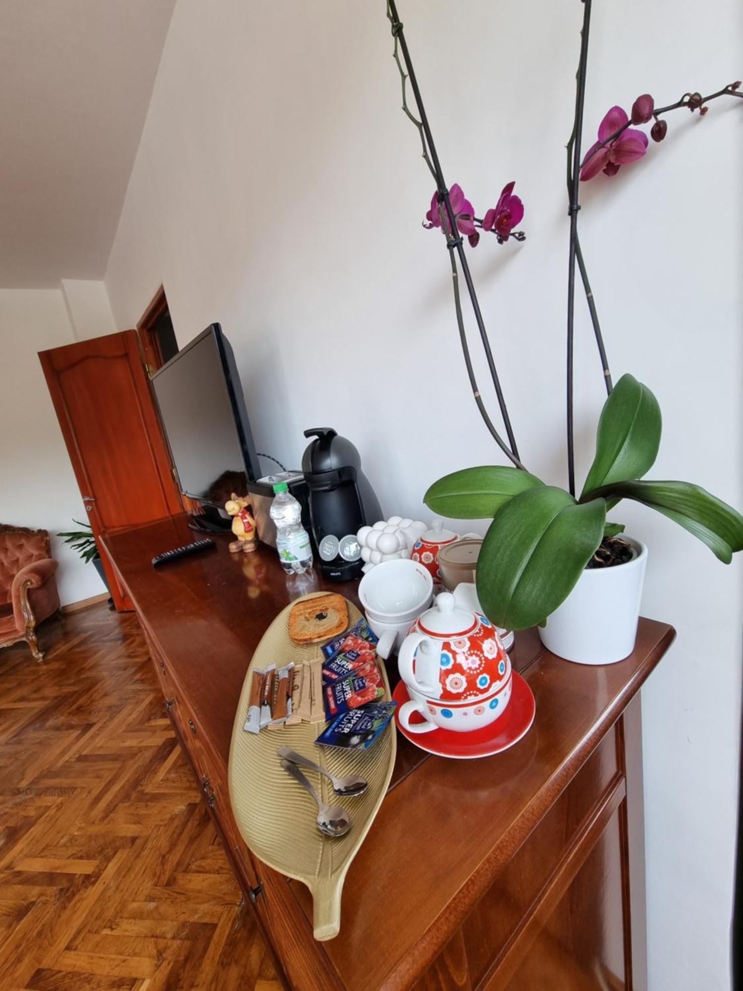 Apartament Toma Boutique Braszów Zewnętrze zdjęcie